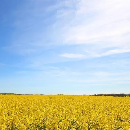 Haus Blick Zur See Ferienwohnung 01 - Mit Sauna- Und Schwimmbadnutzung Im Ahoi Sellin Goehren (Ruegen)